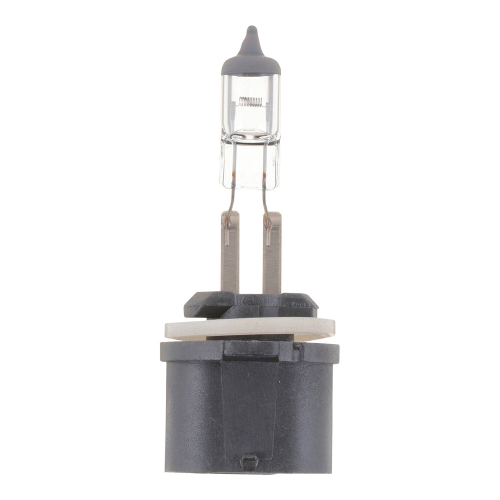 PHILIPS - PHILIPS MINI HALOGEN 1PK CARDED