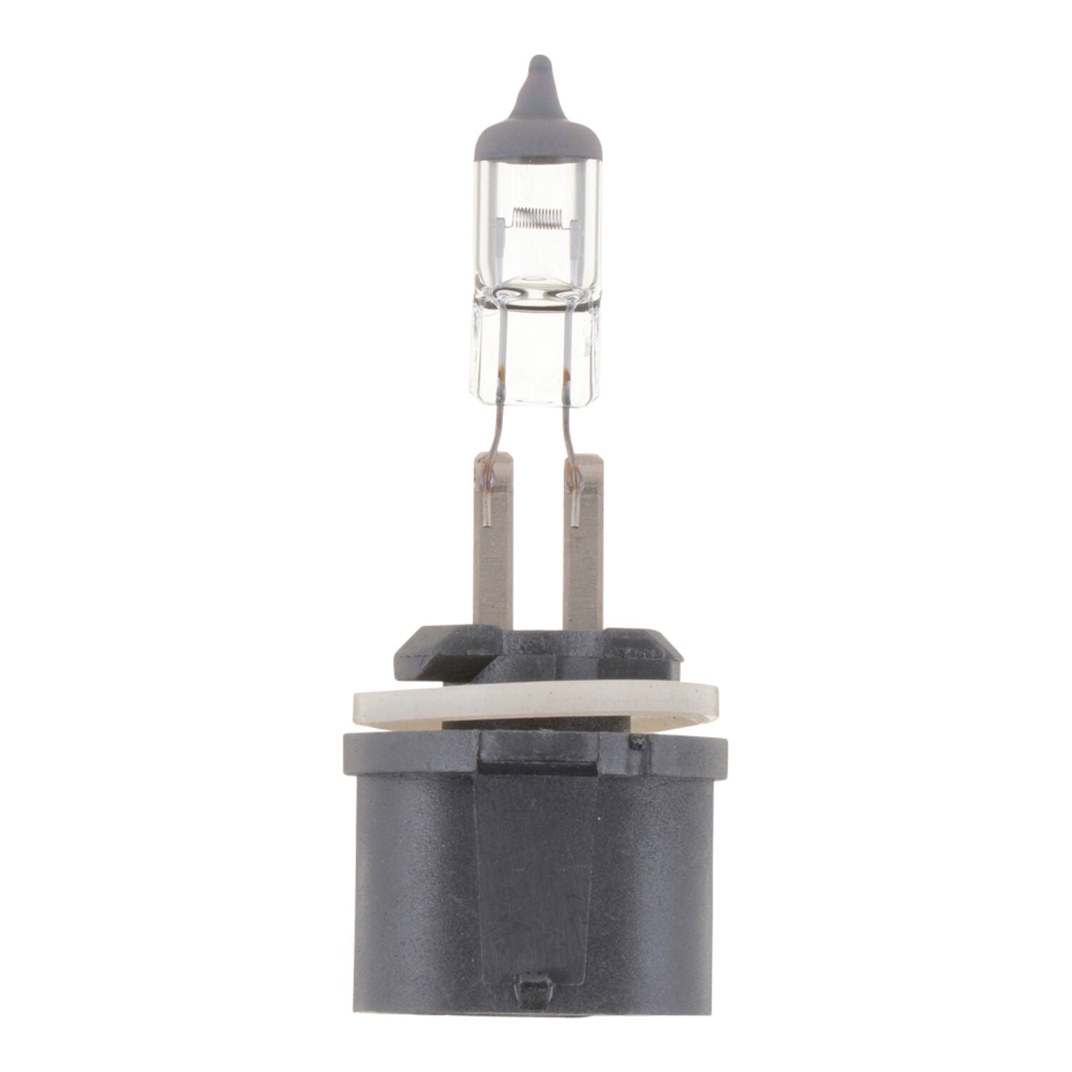 PHILIPS - PHILIPS MINI HALOGEN 1PK CARDED