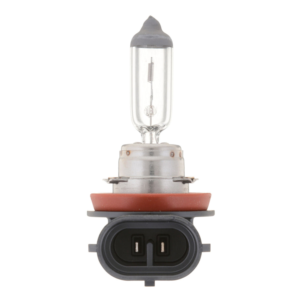PHILIPS - PHIL LONGERLIFE MINI BULB 1/EA