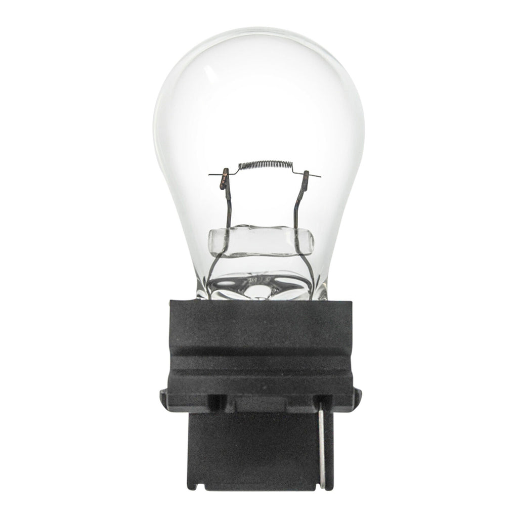 PRIME VISION - PRIM 3156 MINI BULBS 10/BOX