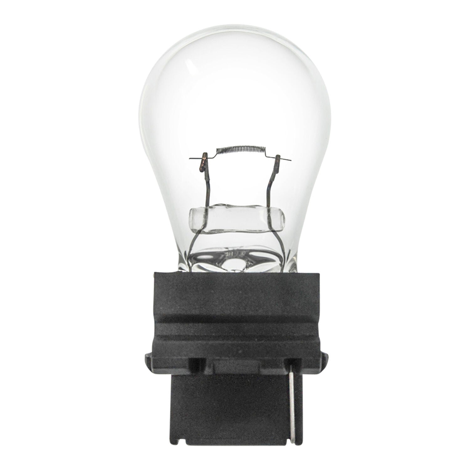 PRIME VISION - PRIM 3156 MINI BULBS 10/BOX