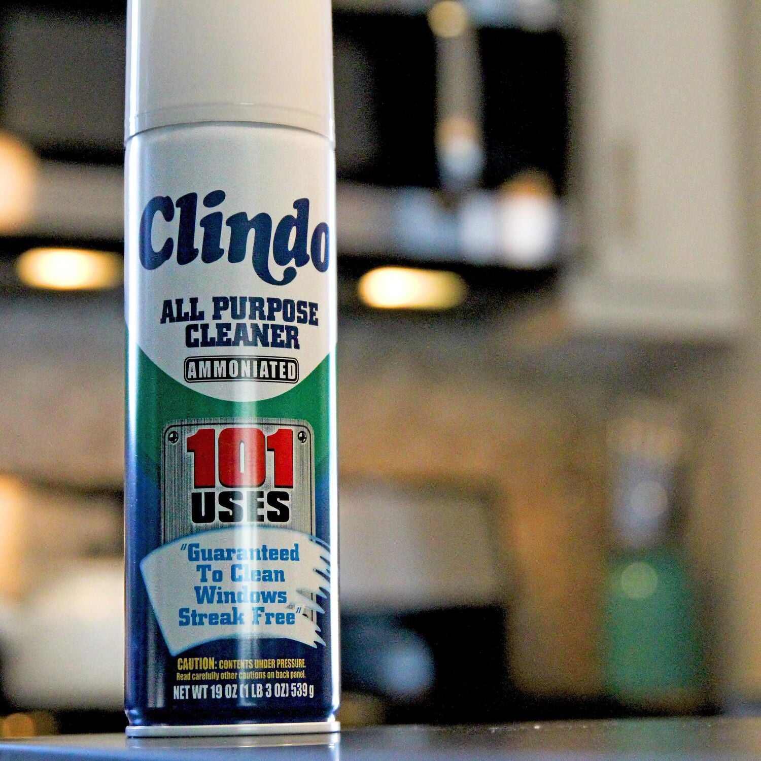 CLINDO - CLINDO ALL PURPOSE CLNR 12/19OZ